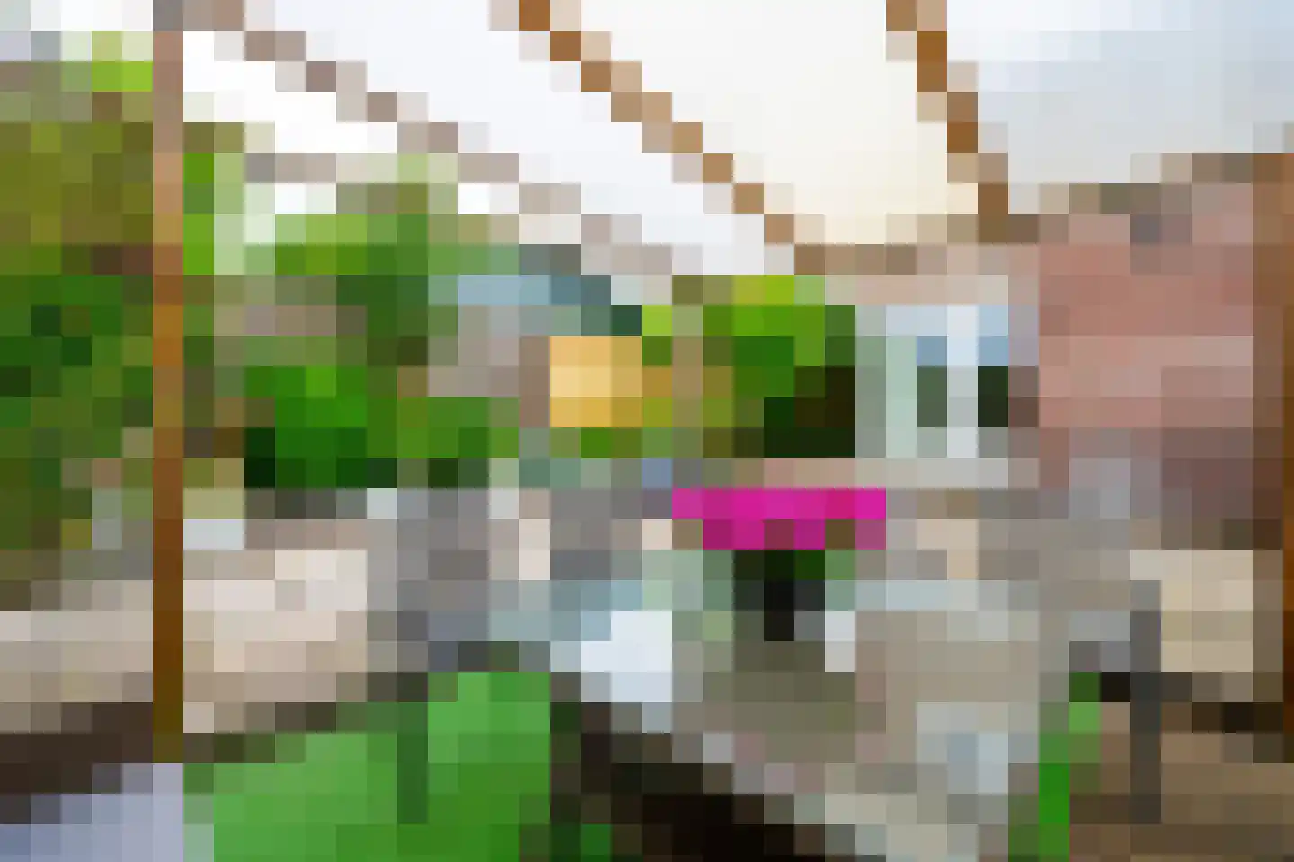 Noordweg 129 Zeist thumbnail 31