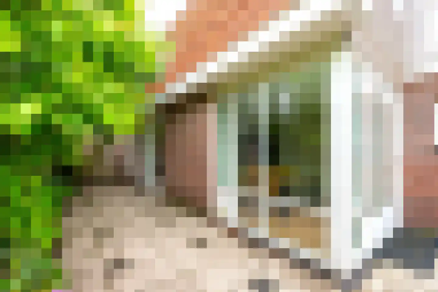 Noordweg 129 Zeist thumbnail 34