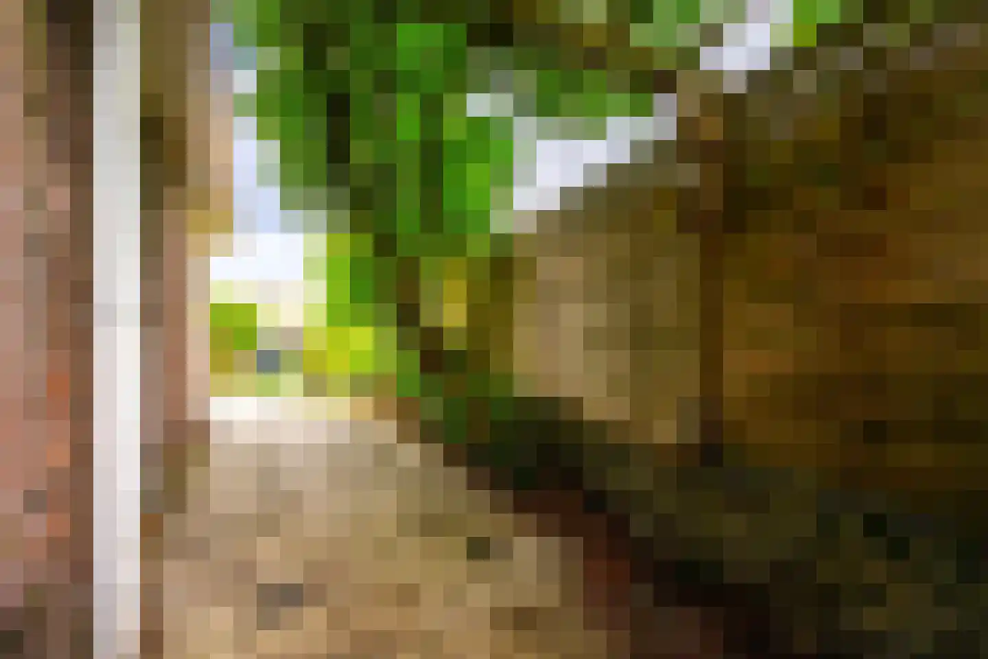 Noordweg 129 Zeist thumbnail 35