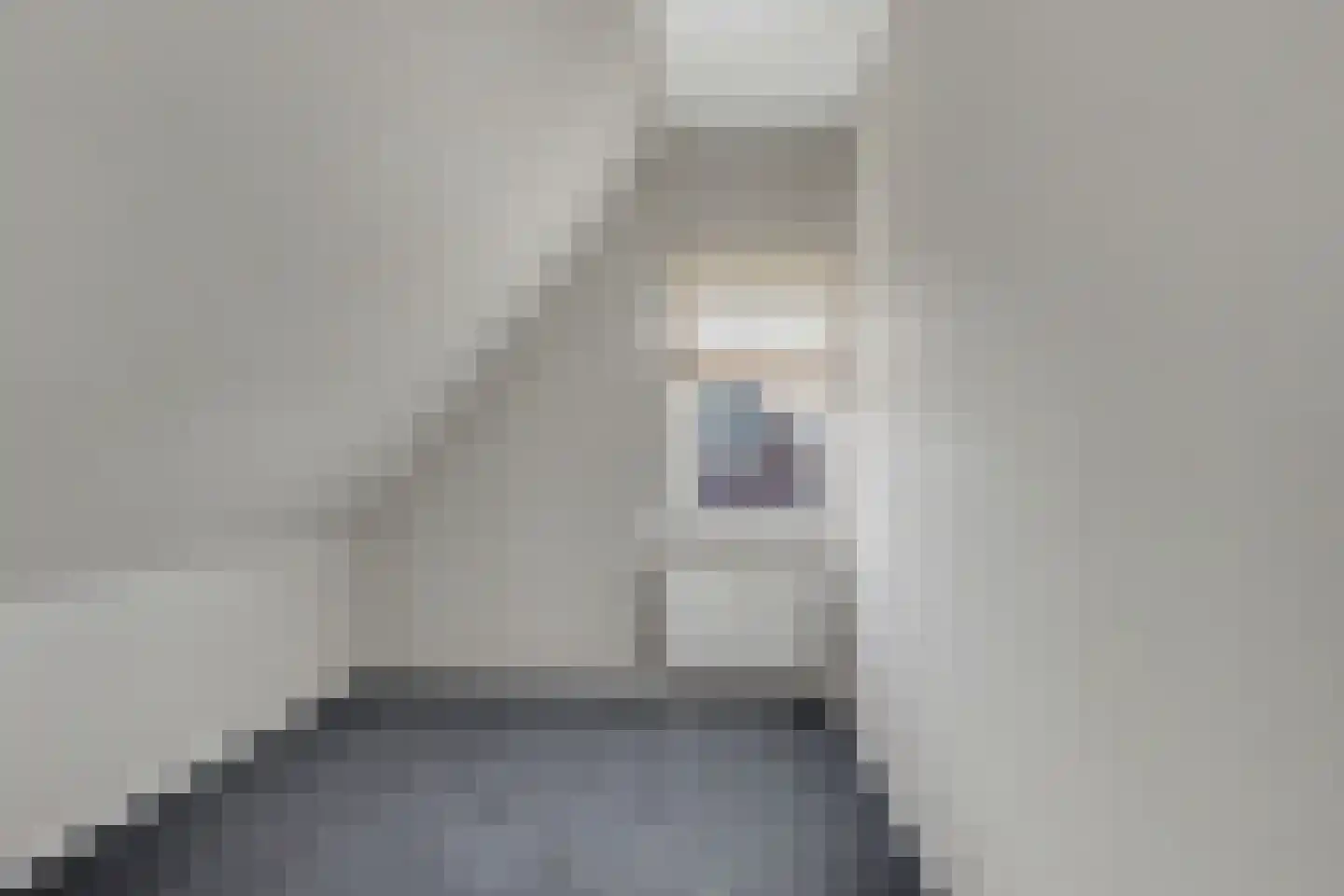 Noordweg 15 Krabbendijke thumbnail 28