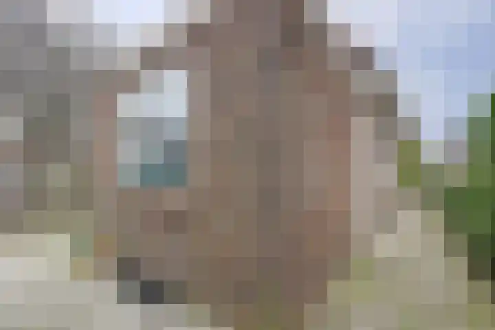 Noordweg 19 Krabbendijke thumbnail 24