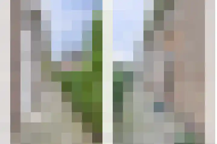 Noordweg 19 Krabbendijke thumbnail 30