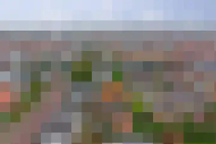 Noordweg 19 Krabbendijke thumbnail 31