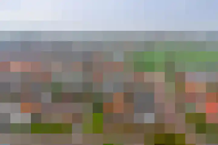 Noordweg 19 Krabbendijke thumbnail 34