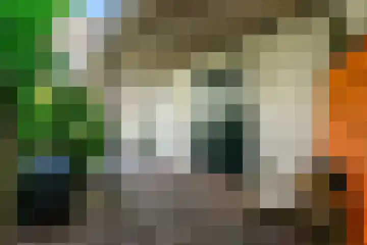 Noordweg 19 Zeist thumbnail 30