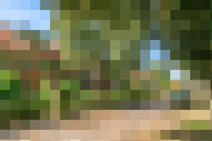 Noordweg 19 Zeist thumbnail 33