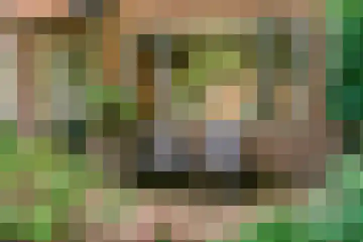 Noordweg 19 Zeist thumbnail 34