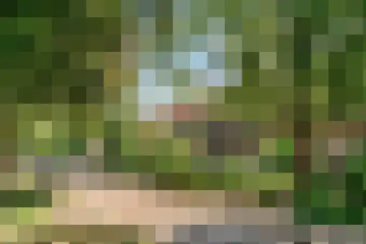 Noordweg 19 Zeist thumbnail 35