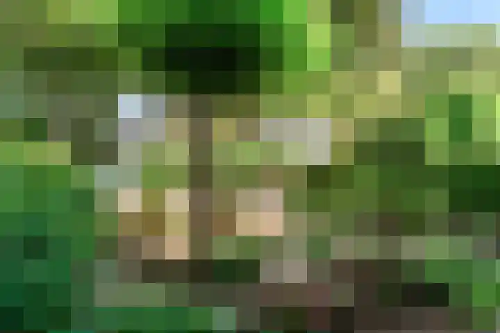 Noordweg 19 Zeist thumbnail 37