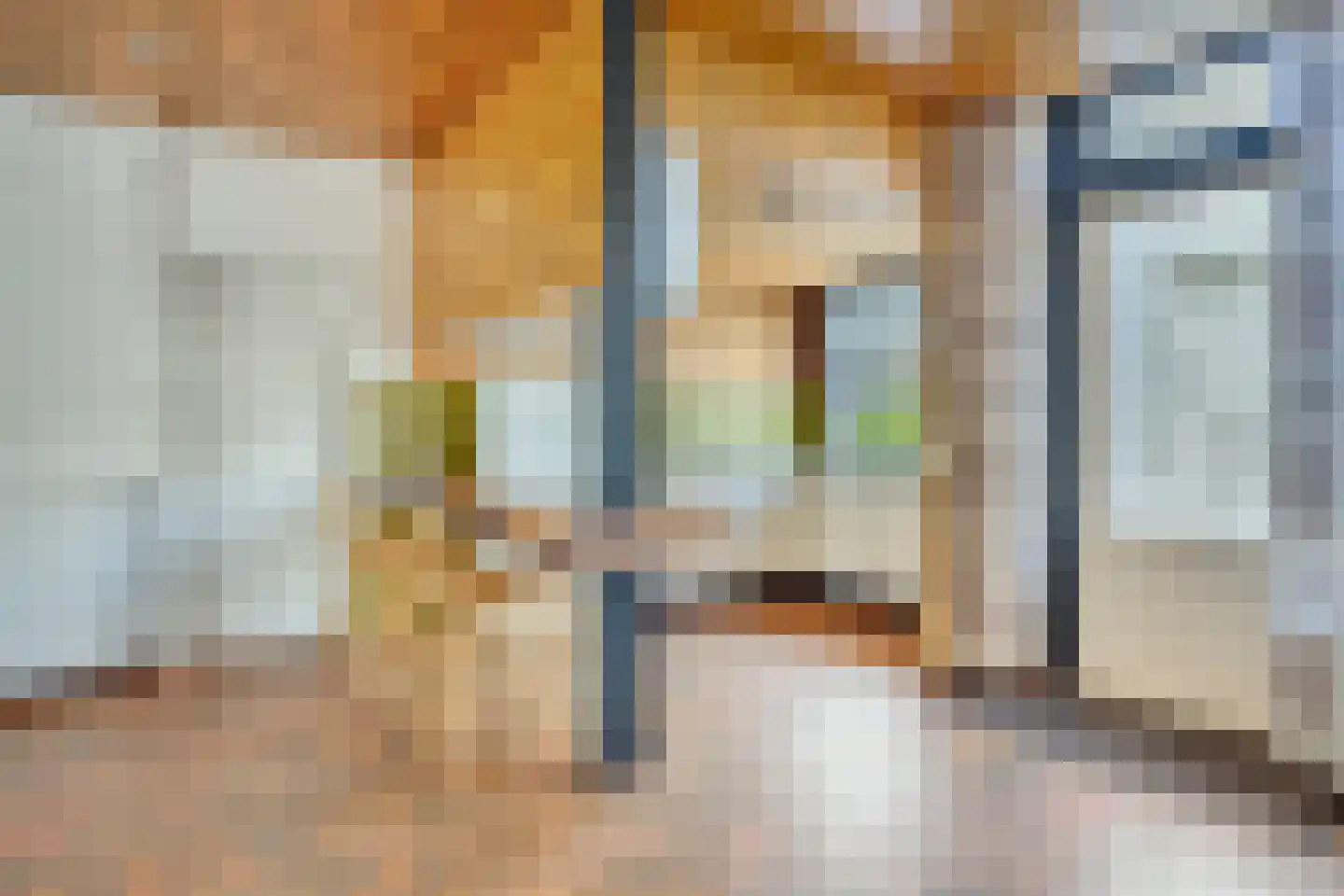 Noordweg 2 Wateringen thumbnail 11