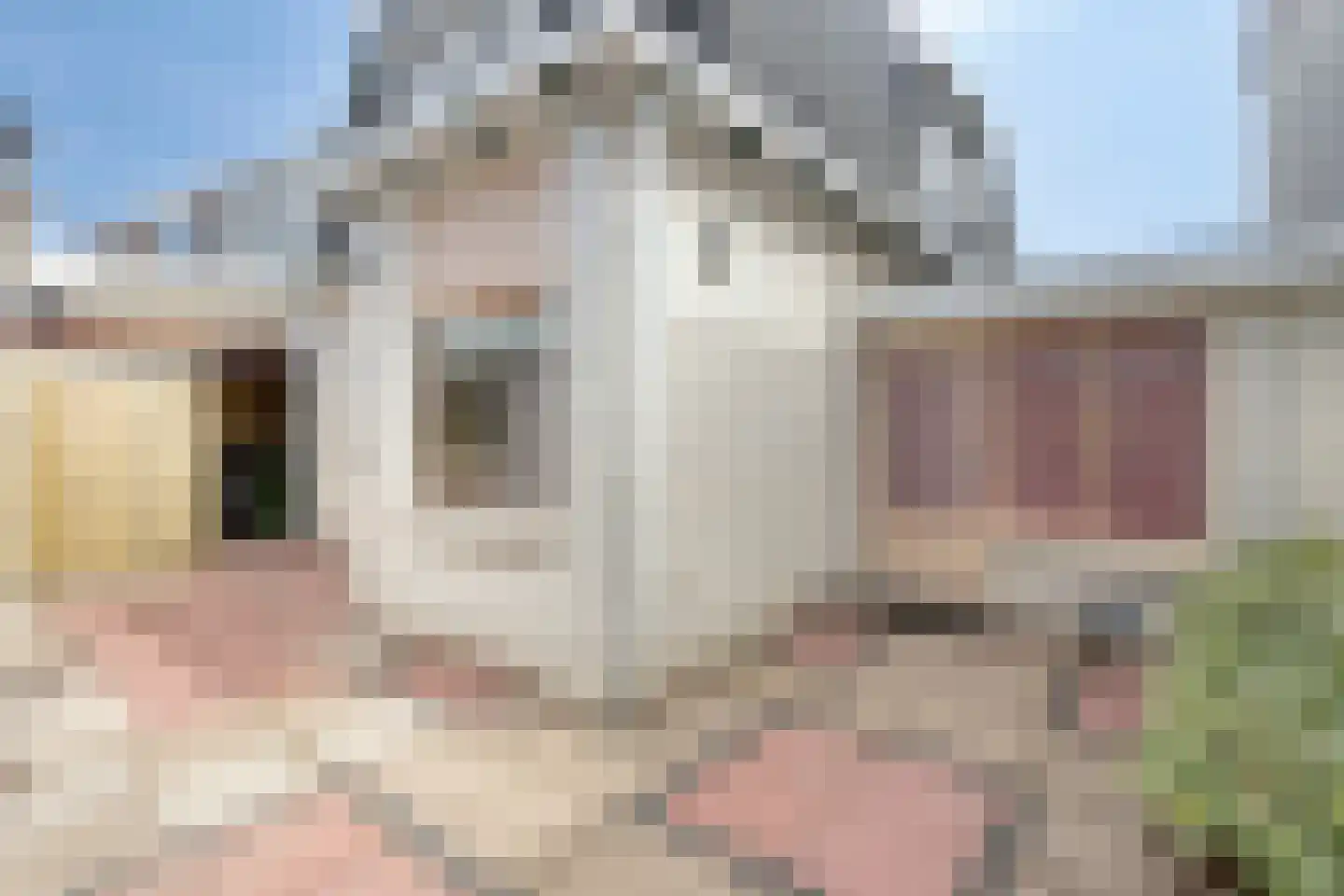 Noordweg 2 Wateringen thumbnail 17