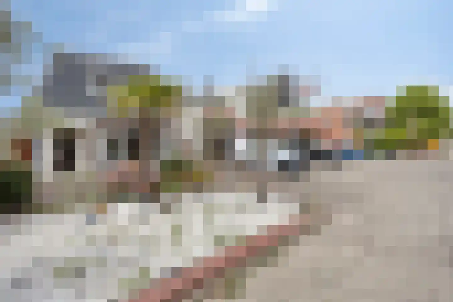 Noordweg 2 Wateringen thumbnail 26