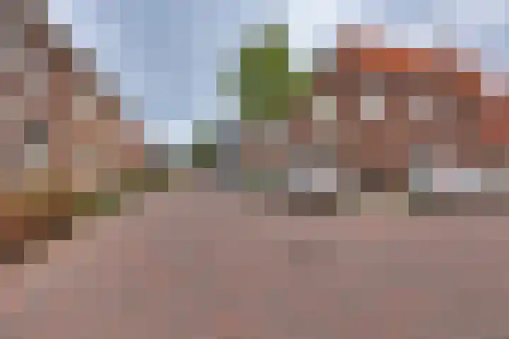 Noordweg 21 Kampen thumbnail 7