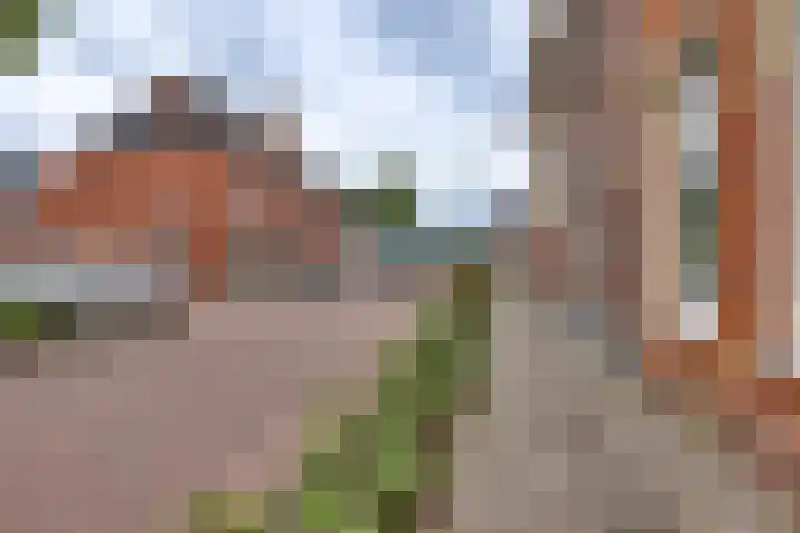 Noordweg 21 Kampen thumbnail 9