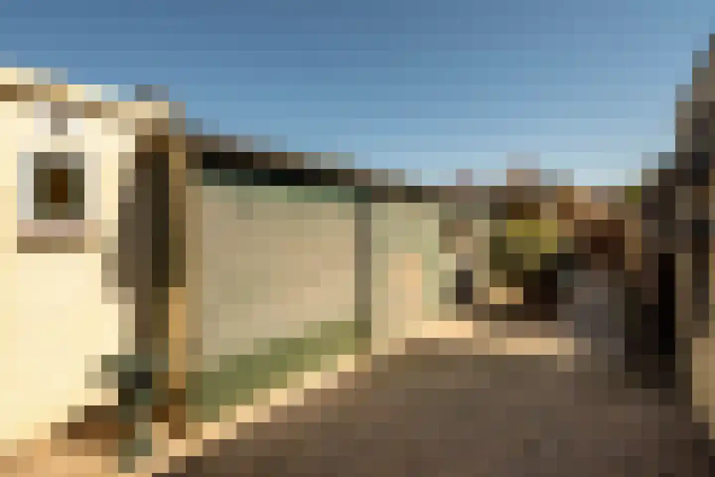 Noordweg 22 Sint Philipsland thumbnail 18