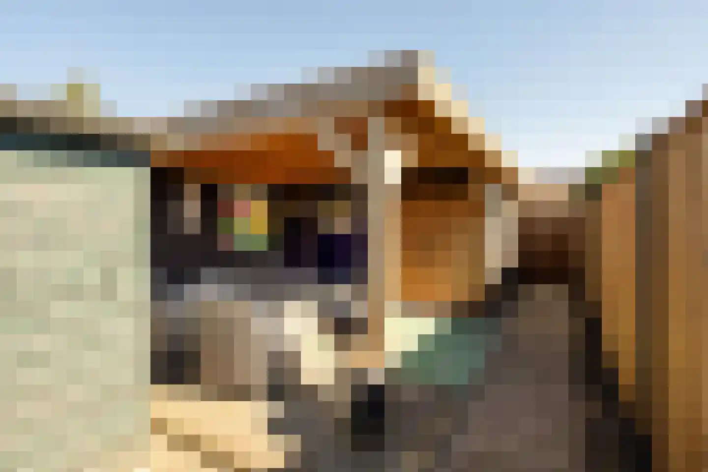 Noordweg 22 Sint Philipsland thumbnail 19