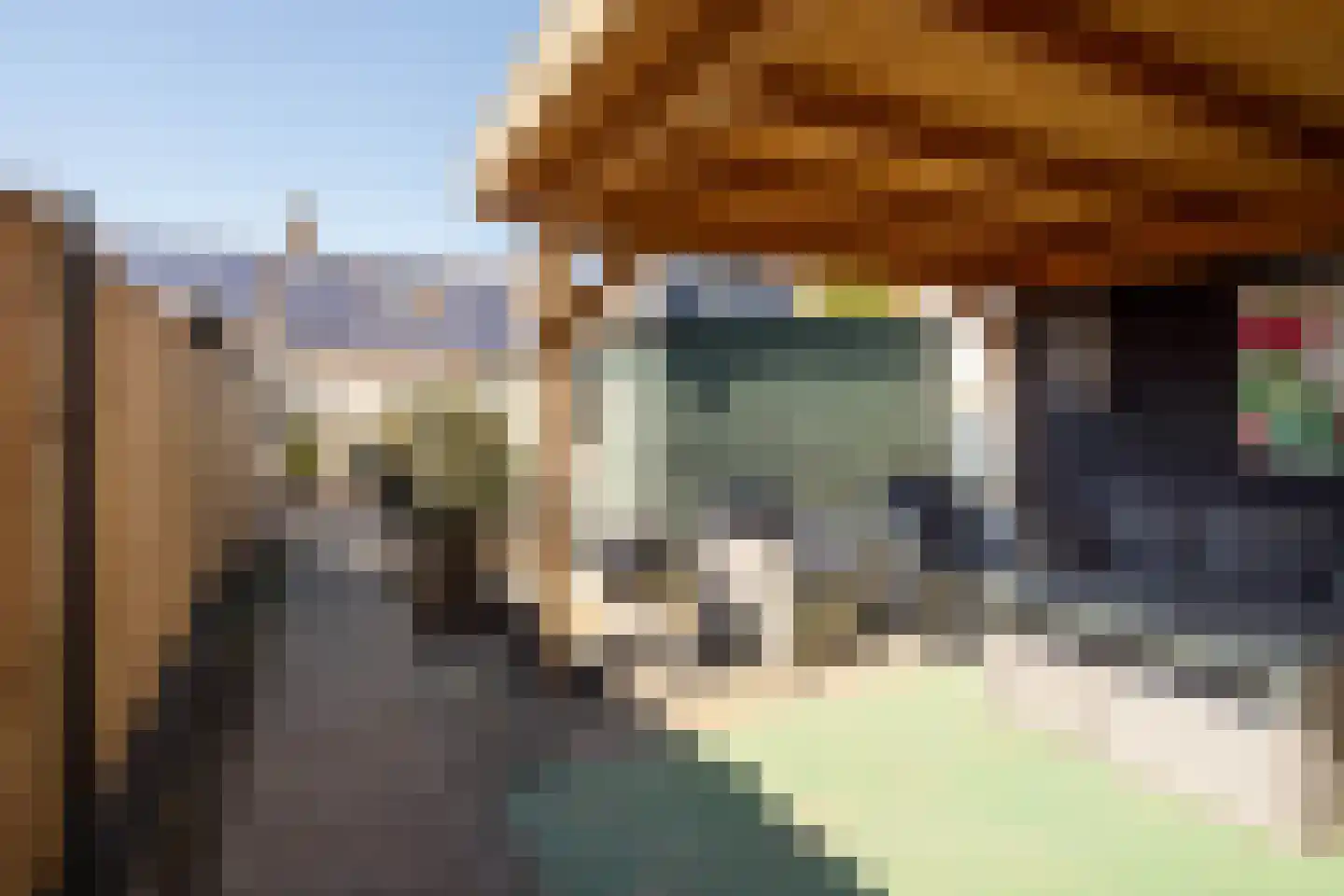 Noordweg 22 Sint Philipsland thumbnail 21