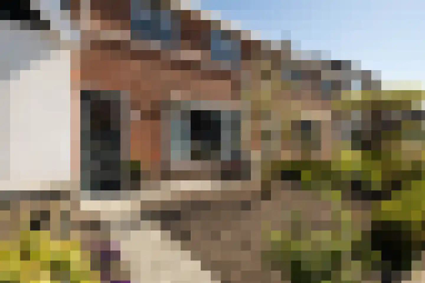 Noordweg 22 Sint Philipsland thumbnail 24