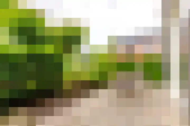 Noordweg 22 Zeist thumbnail 15