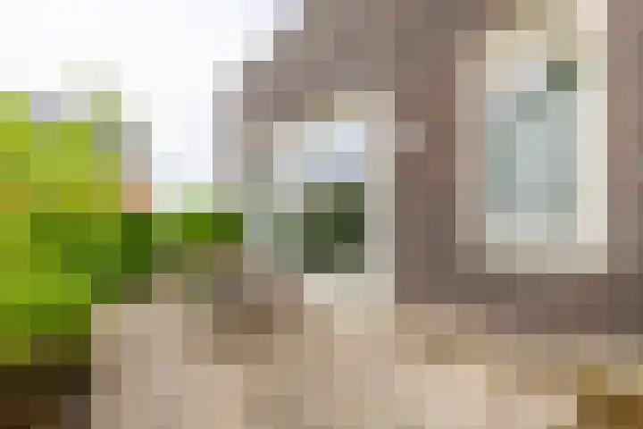 Noordweg 22 Zeist thumbnail 16