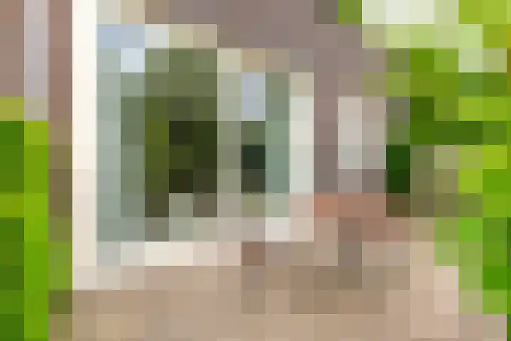Noordweg 22 Zeist thumbnail 17