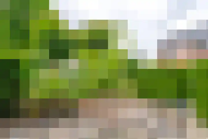 Noordweg 22 Zeist thumbnail 18