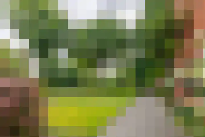 Noordweg 22 Zeist thumbnail 23