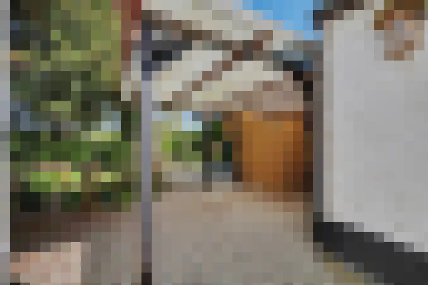 Noordweg 224 Middelburg thumbnail 30