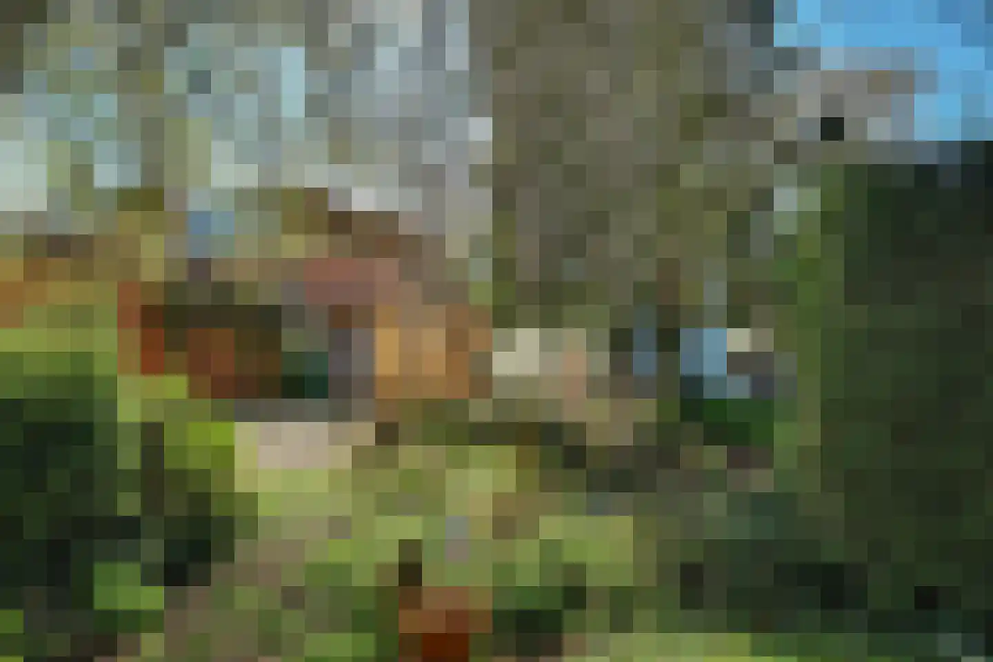 Noordweg 224 Middelburg thumbnail 31