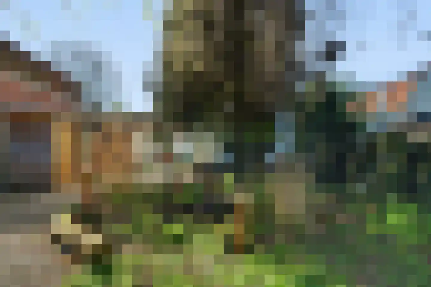 Noordweg 224 Middelburg thumbnail 32