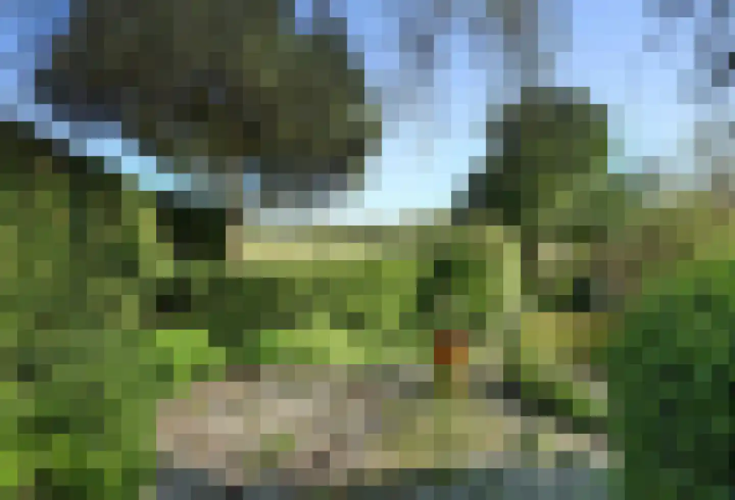 Noordweg 224 Middelburg thumbnail 34
