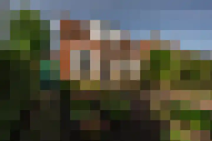 Noordweg 229 Middelburg
