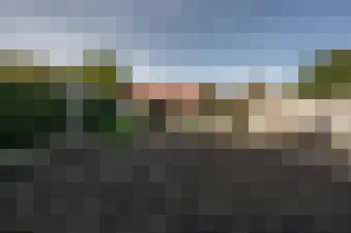Noordweg 229 Middelburg thumbnail 11