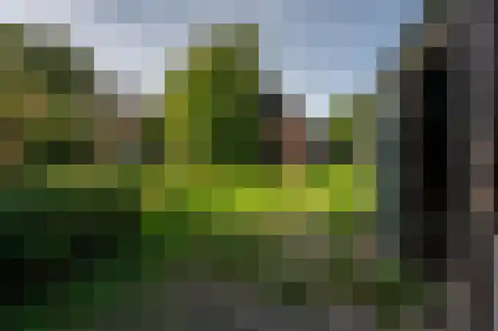Noordweg 229 Middelburg thumbnail 14