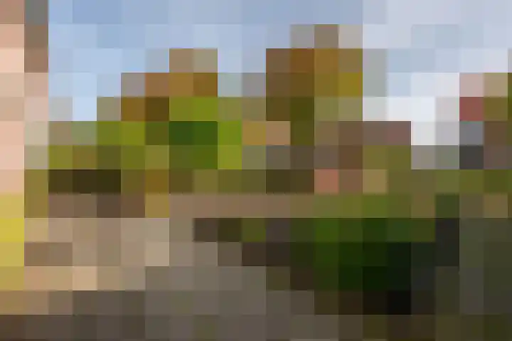 Noordweg 229 Middelburg thumbnail 4