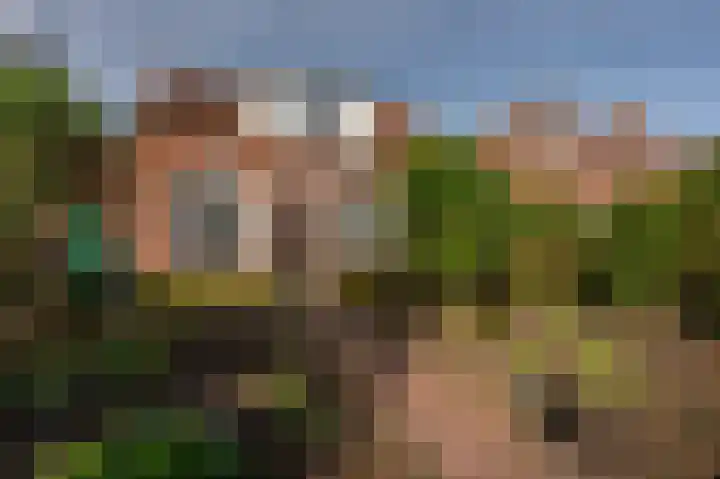 Noordweg 229 Middelburg thumbnail 5