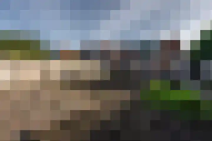 Noordweg 229 Middelburg thumbnail 9