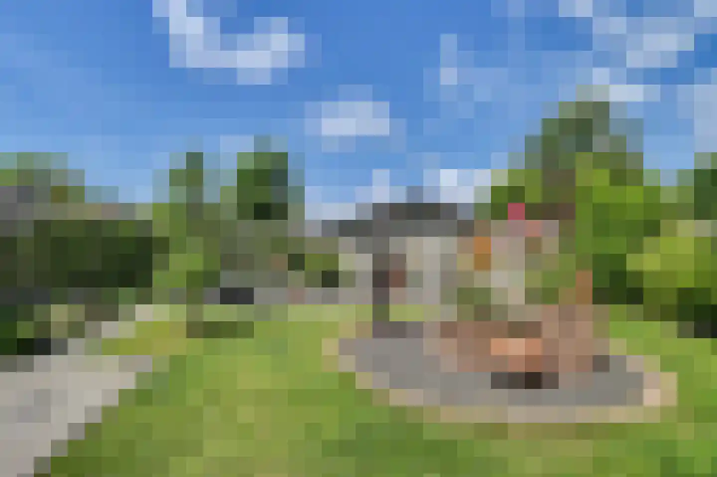 Noordweg 23 Sint Philipsland thumbnail 43