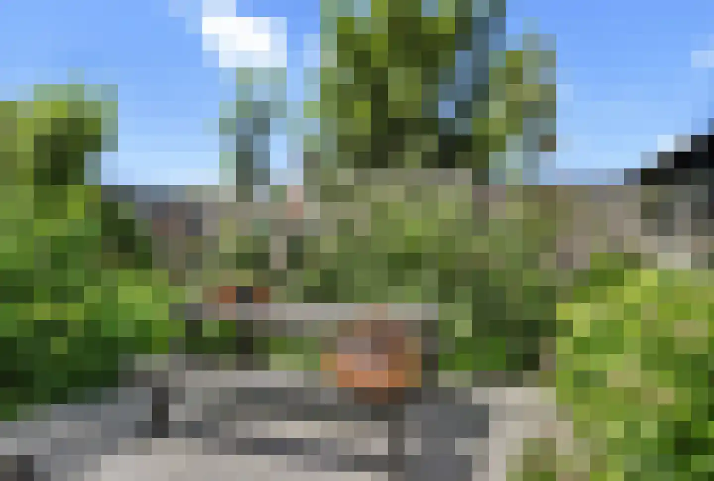 Noordweg 23 Sint Philipsland thumbnail 48