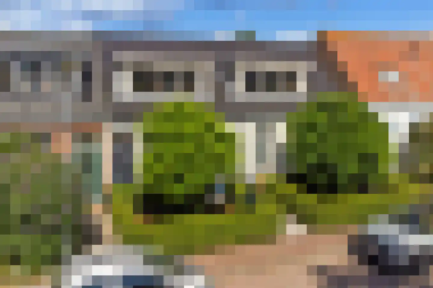 Noordweg 23 Sint Philipsland thumbnail 49
