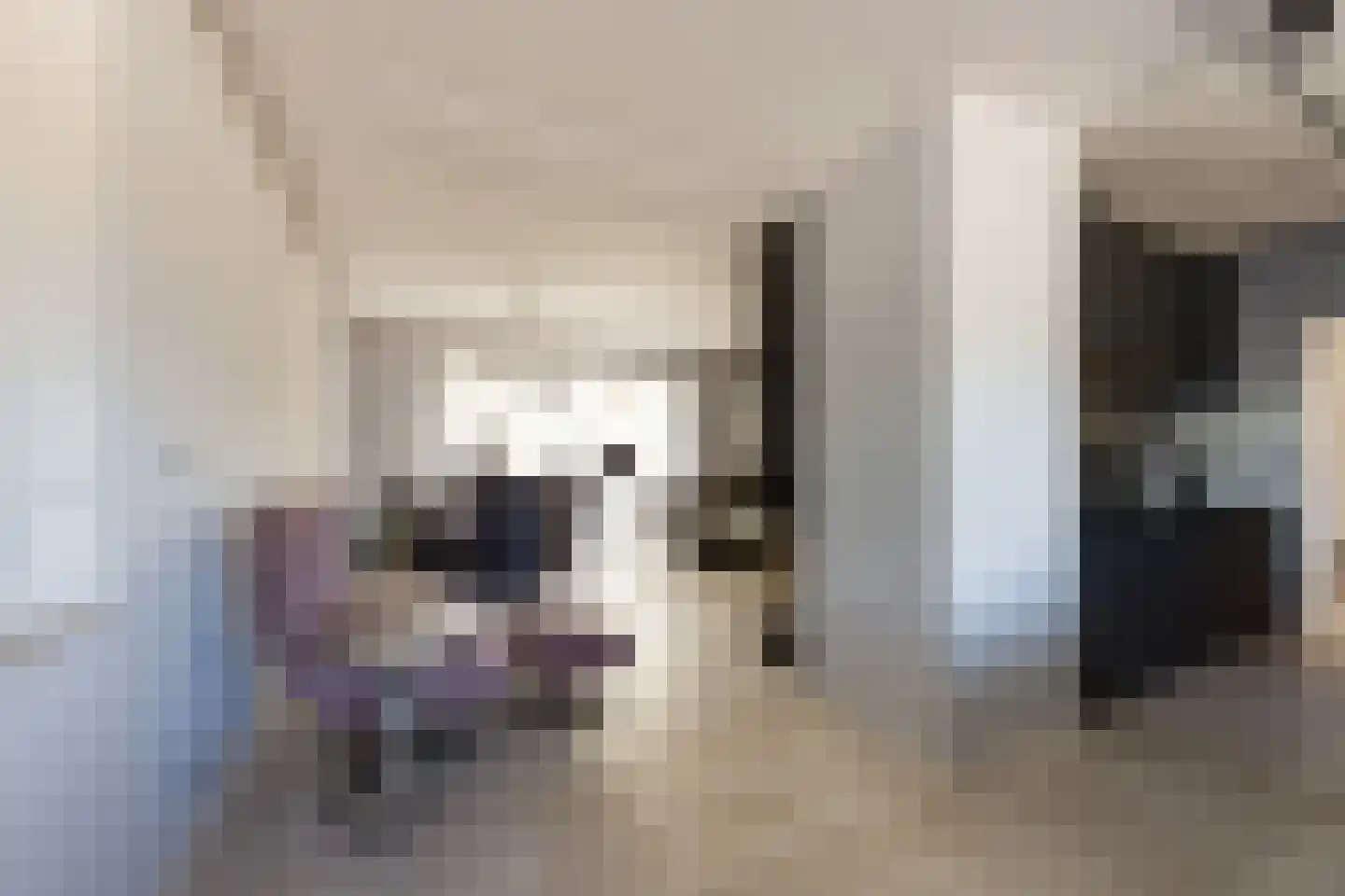 Noordweg 24 Lattrop-Breklenkamp thumbnail 10