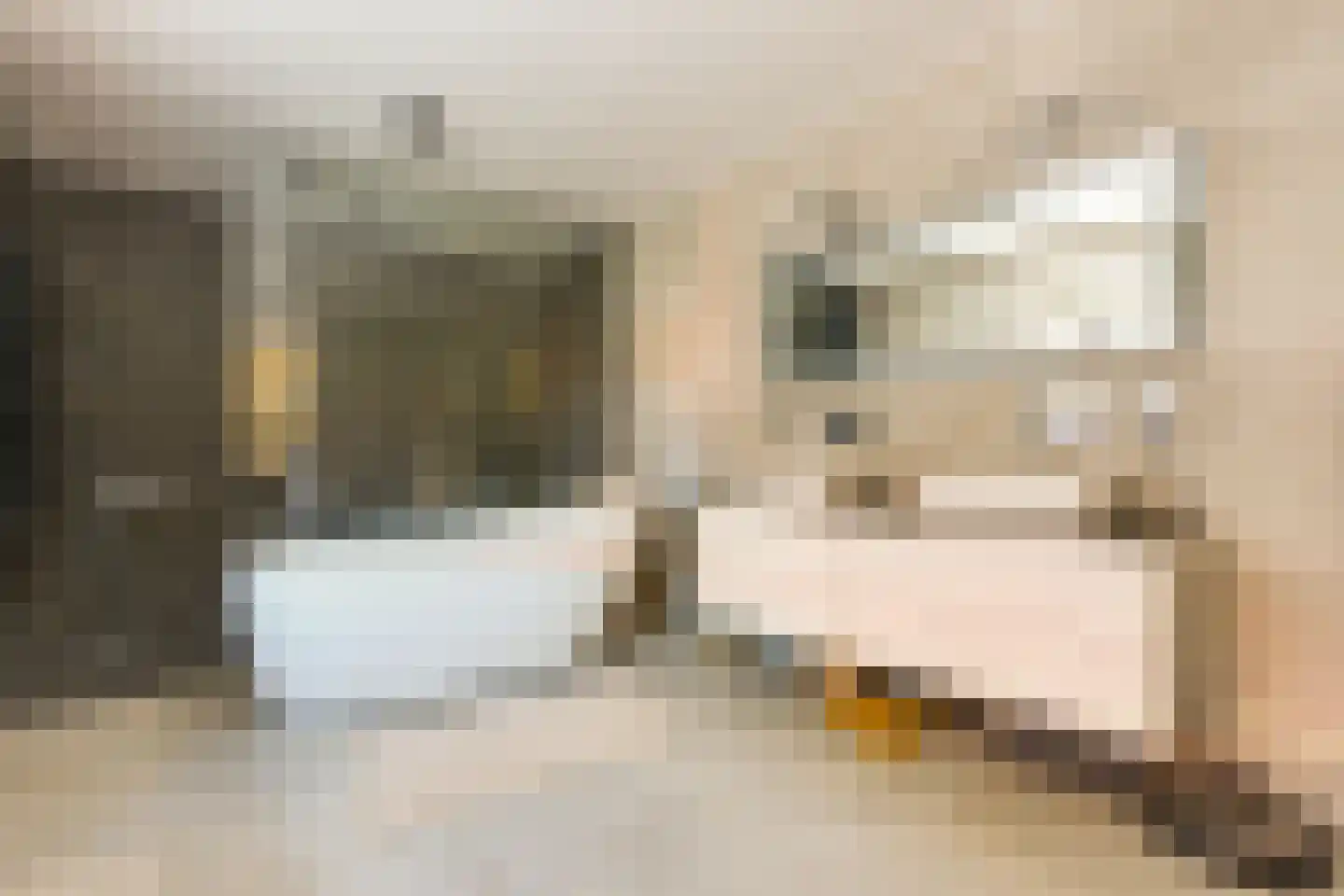 Noordweg 24 Lattrop-Breklenkamp thumbnail 22