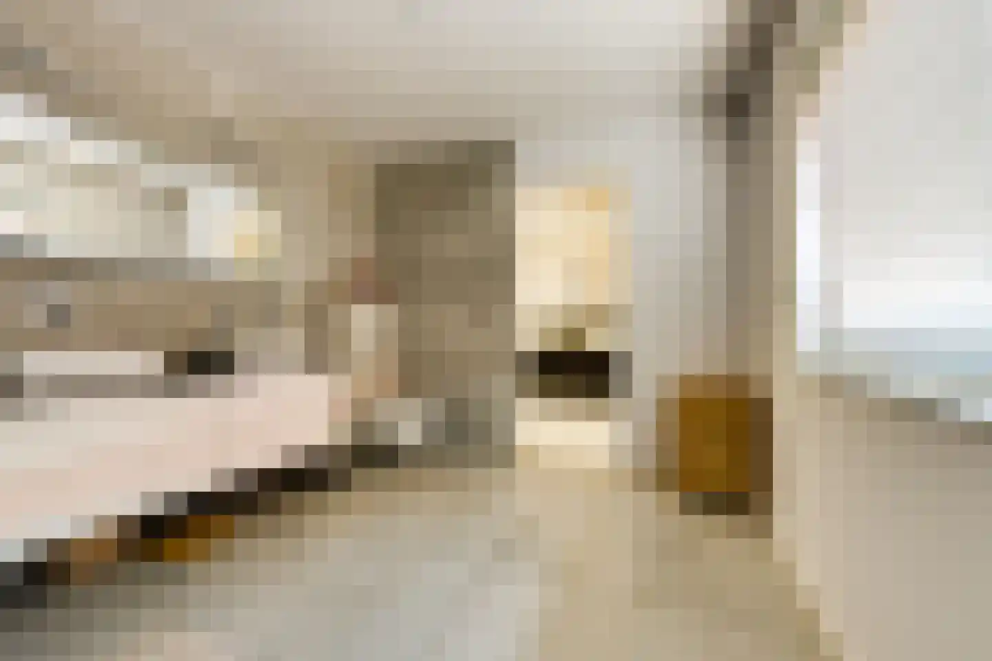 Noordweg 24 Lattrop-Breklenkamp thumbnail 23
