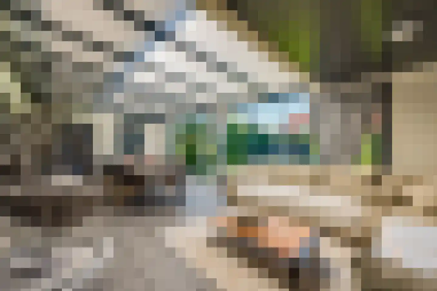 Noordweg 24 Lattrop-Breklenkamp thumbnail 24