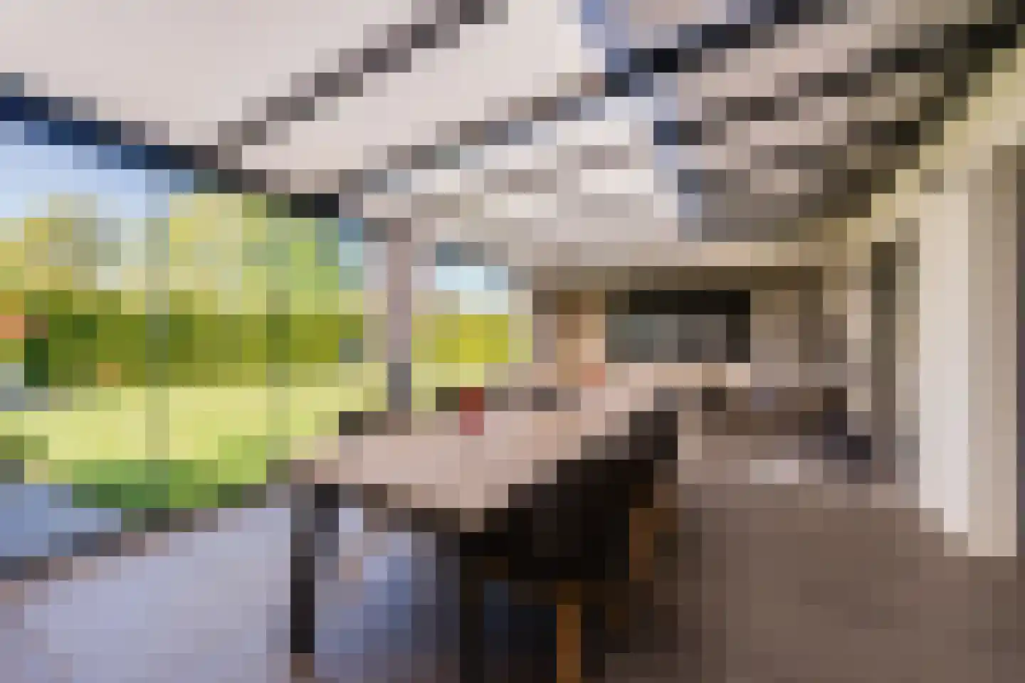 Noordweg 24 Lattrop-Breklenkamp thumbnail 25