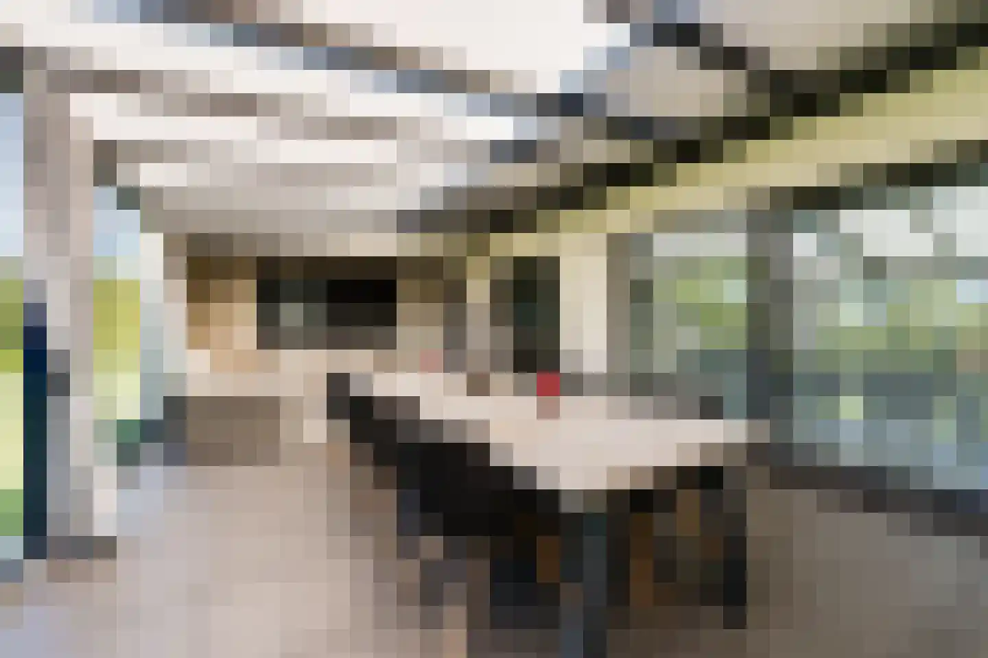 Noordweg 24 Lattrop-Breklenkamp thumbnail 26