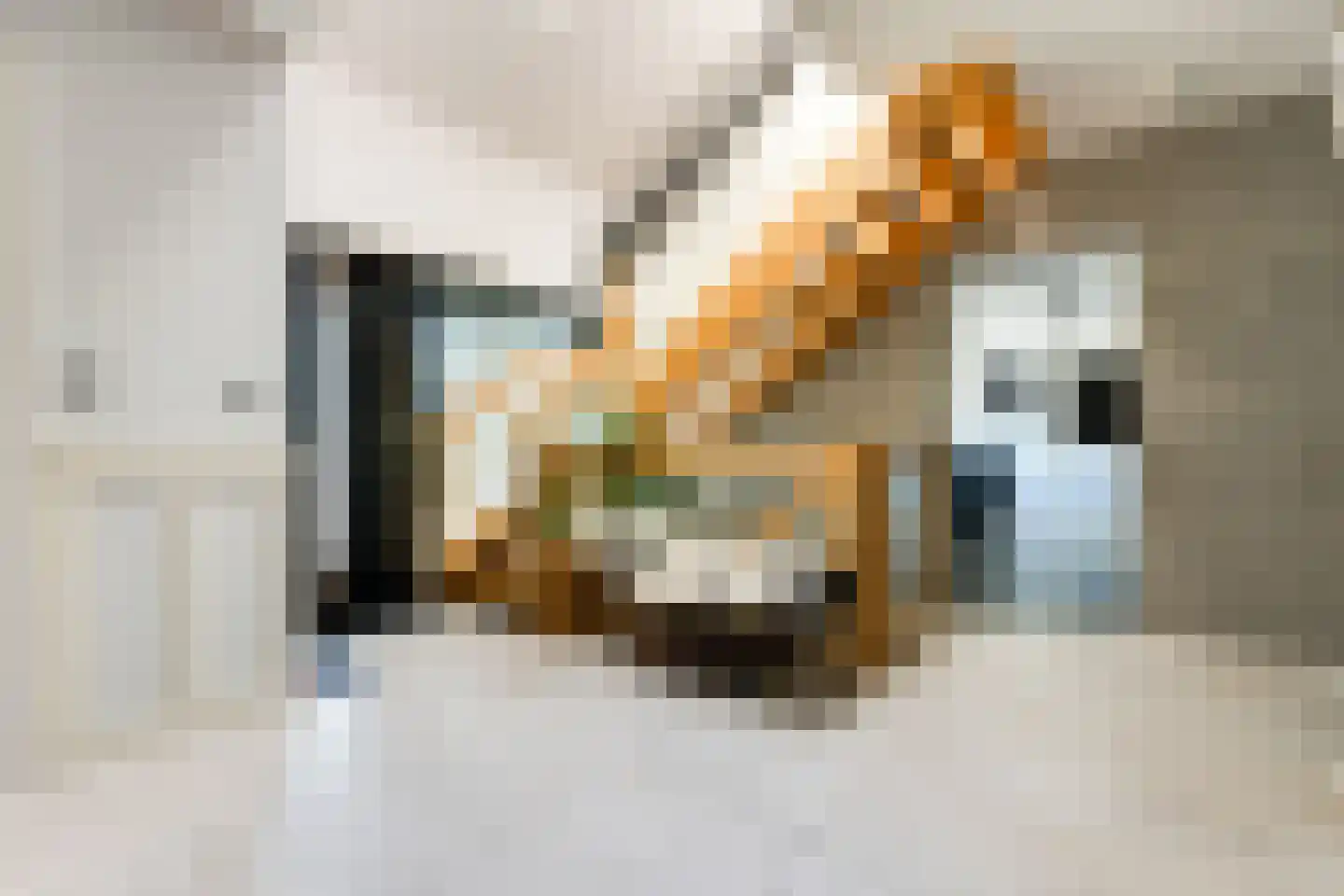 Noordweg 24 Lattrop-Breklenkamp thumbnail 5