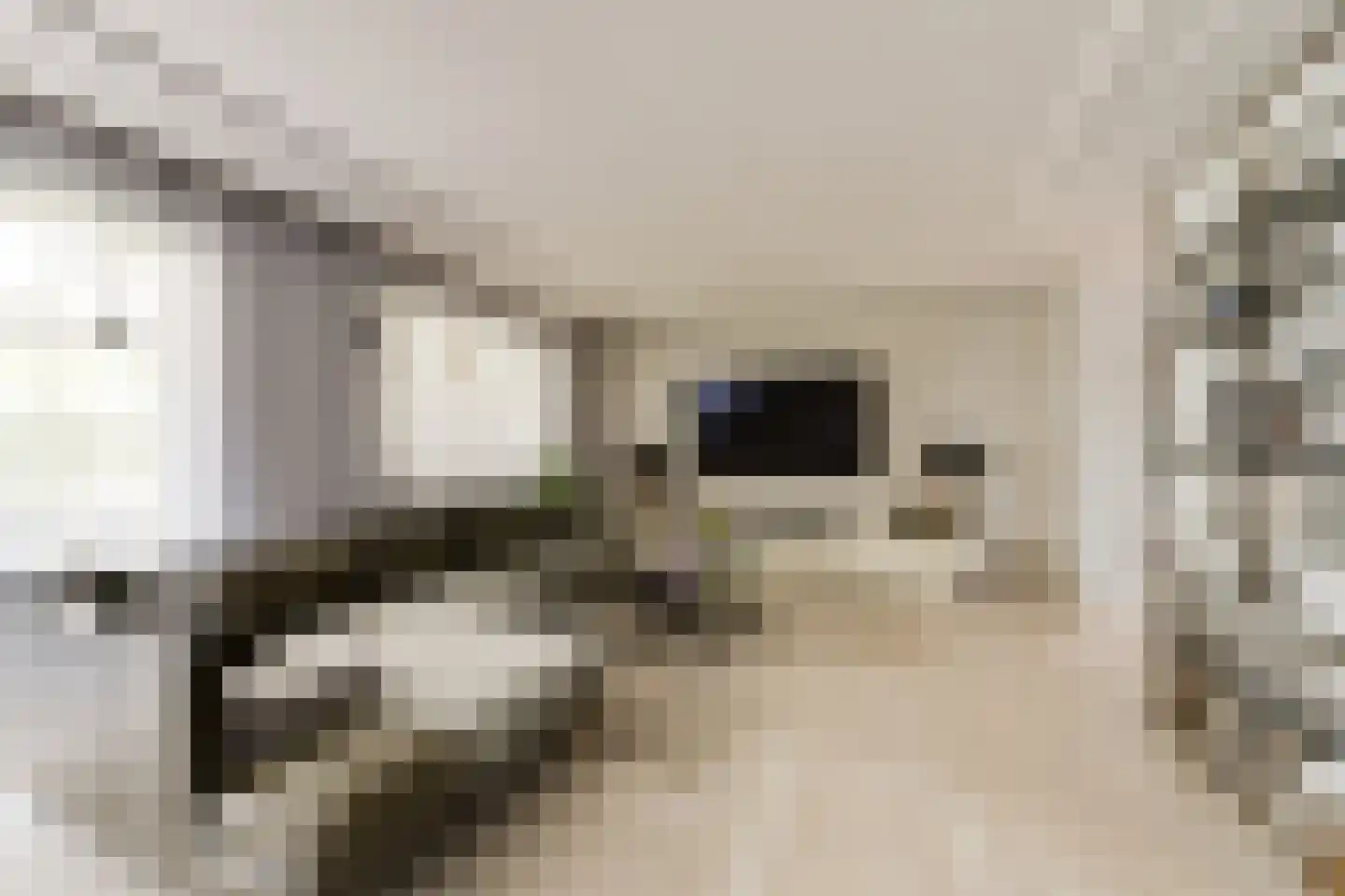 Noordweg 24 Lattrop-Breklenkamp thumbnail 7