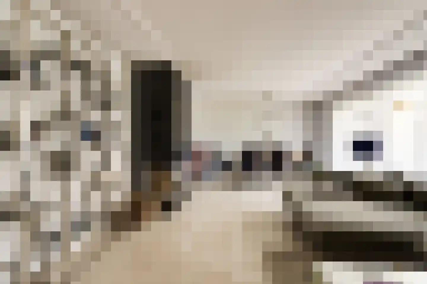 Noordweg 24 Lattrop-Breklenkamp thumbnail 8