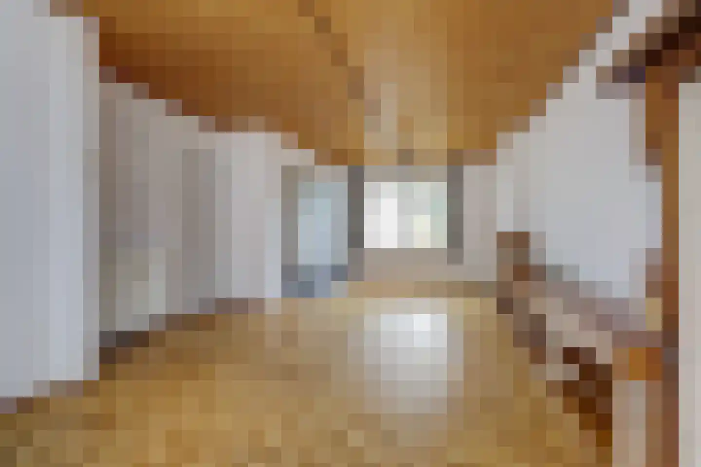 Noordweg 24 Sint Philipsland thumbnail 12